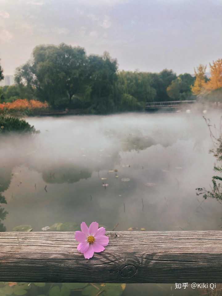 郑州有什么好吃的美食,郑州有什么好玩的地方情侣