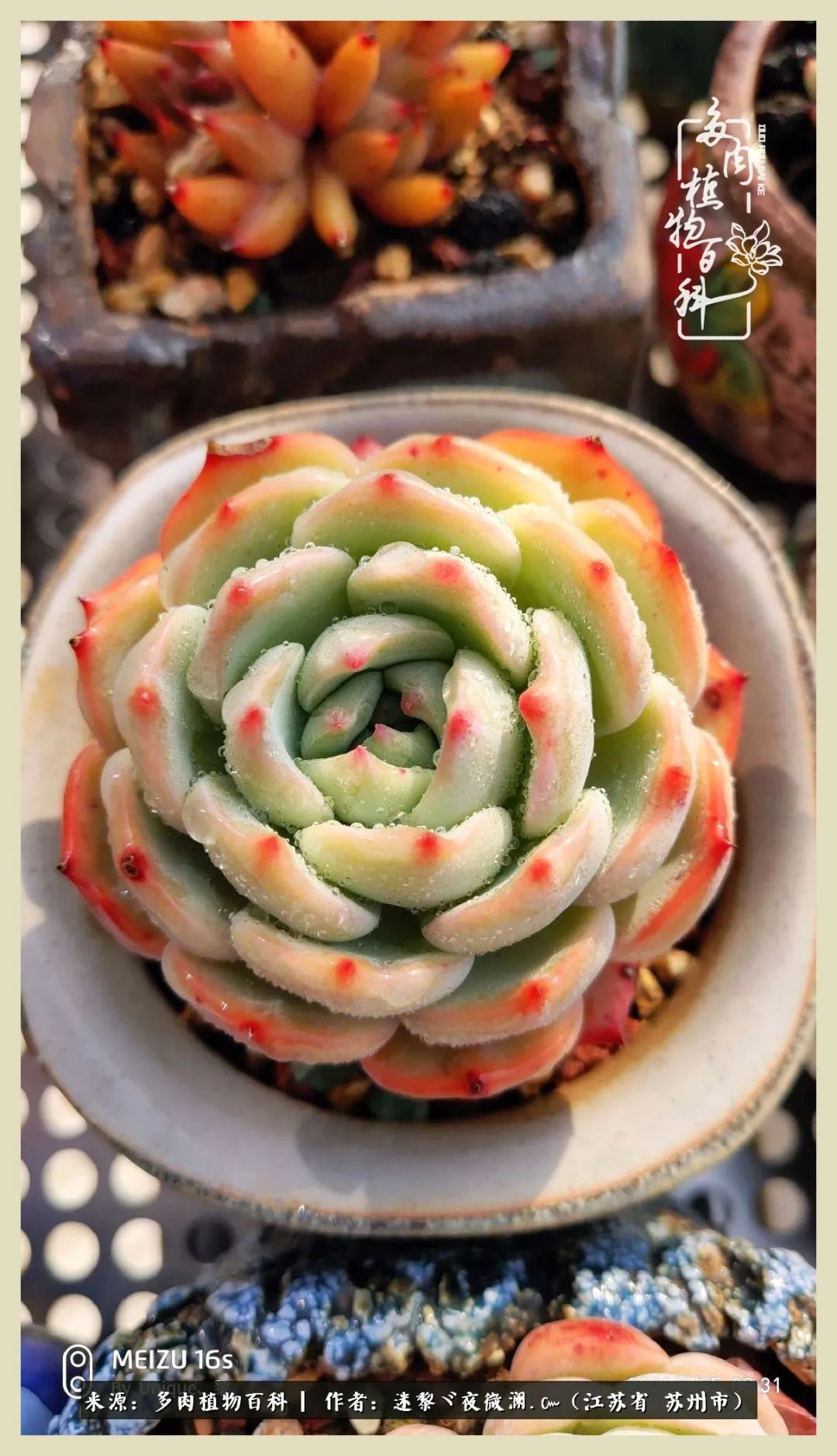 秋尽冬来岁月不居时节如流,岁月不居时节如流水