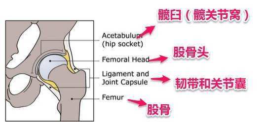 医生讲述90岁老奶奶髋部骨折,髋部骨折危害大老年人摔伤要重视