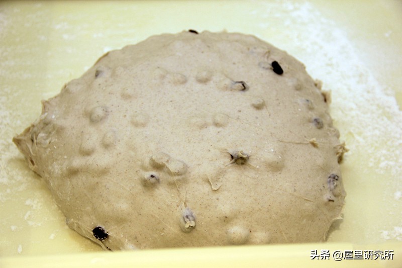 电烤箱做欧包,推荐一款适合做欧包的烤箱