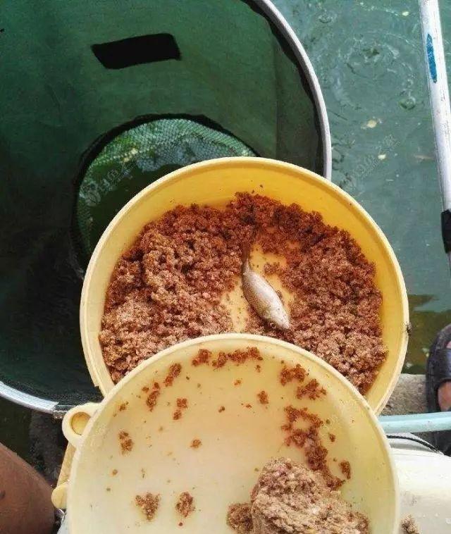 钓鱼中药酒是不是越久越好,钓鱼中药酒还可以加什么小药