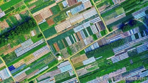 「抗击疫情」四川省电视艺术家协会团体会员单位在行动！（三十八）