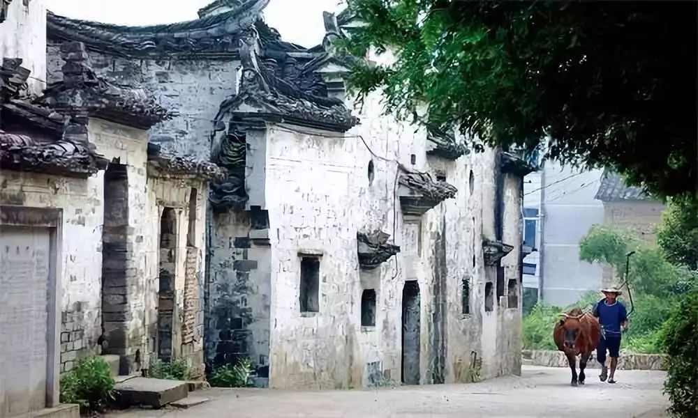 浙江隐藏一座仙境,浙江距离杭州1小时车程的城市