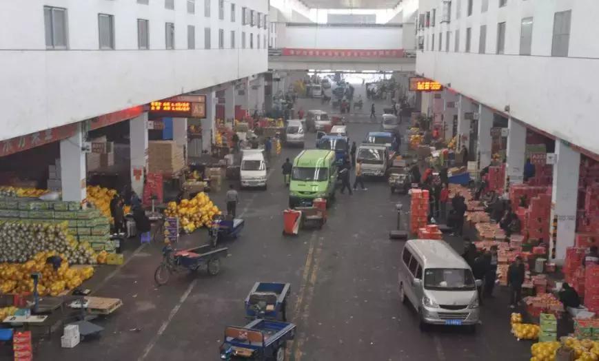 日本青提真是进口水果吗,进口品种青提100元以内1斤