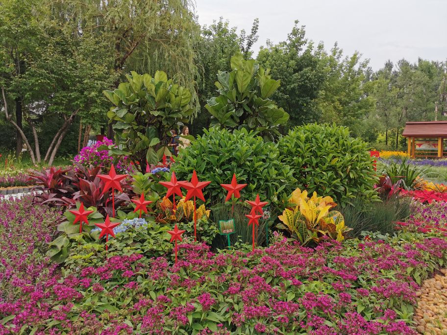 百花园里花里花争艳,百花园里百花香