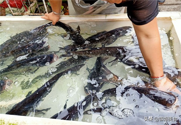 正宗水煮鱼做法川菜麻辣鲜香,正宗麻辣川菜水煮鱼正宗做法