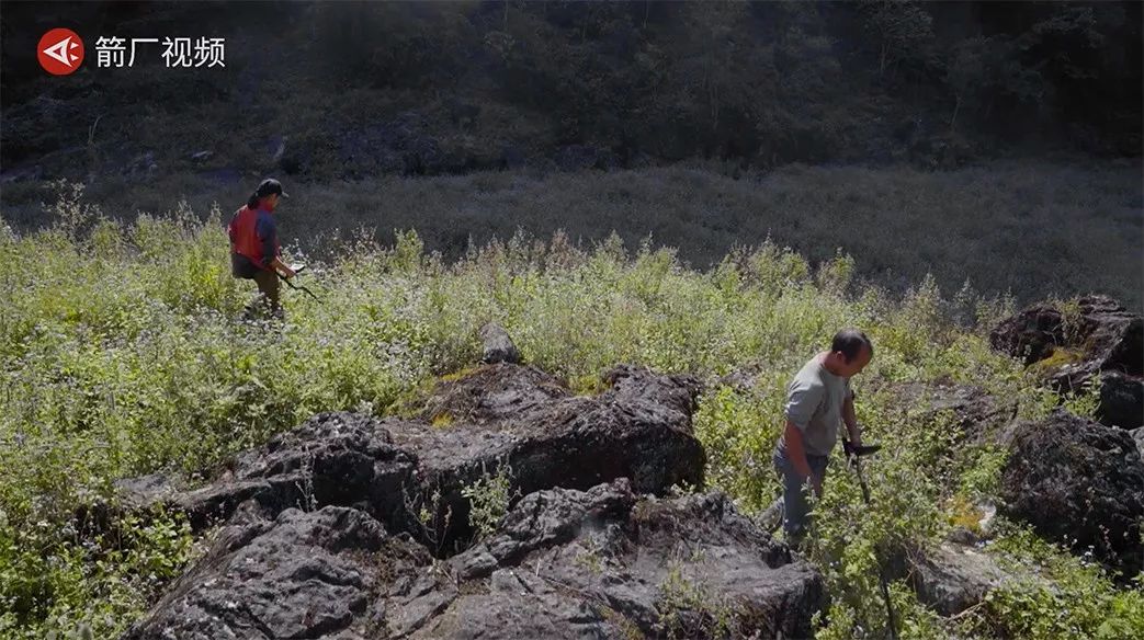 陨石价格中国陨石目前最新价格,陨石多少钱一克陨石的市场价格