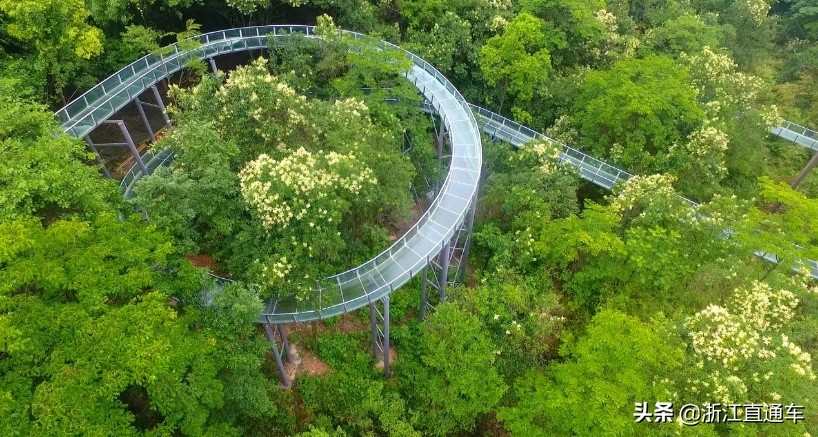 杭州新春游玩攻略大全,国庆杭州附近攻略