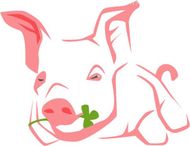 猪瘫痪了怎么办,猪瘫痪视频怎么治病