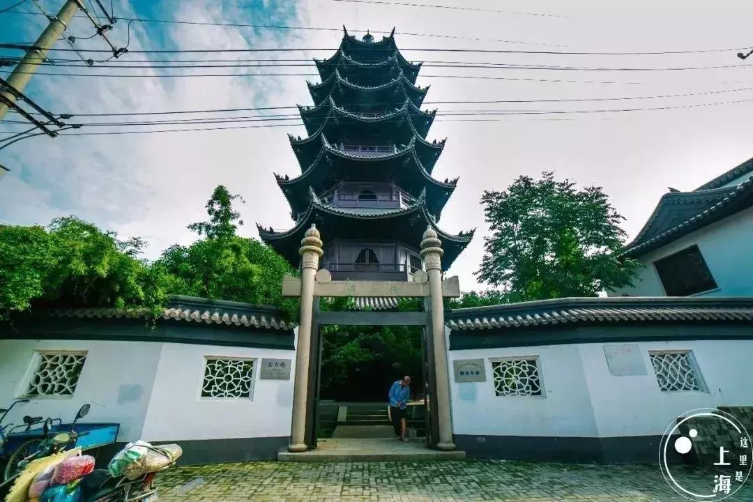 上海超全攻略,上海全天免费最值得去的旅游景点