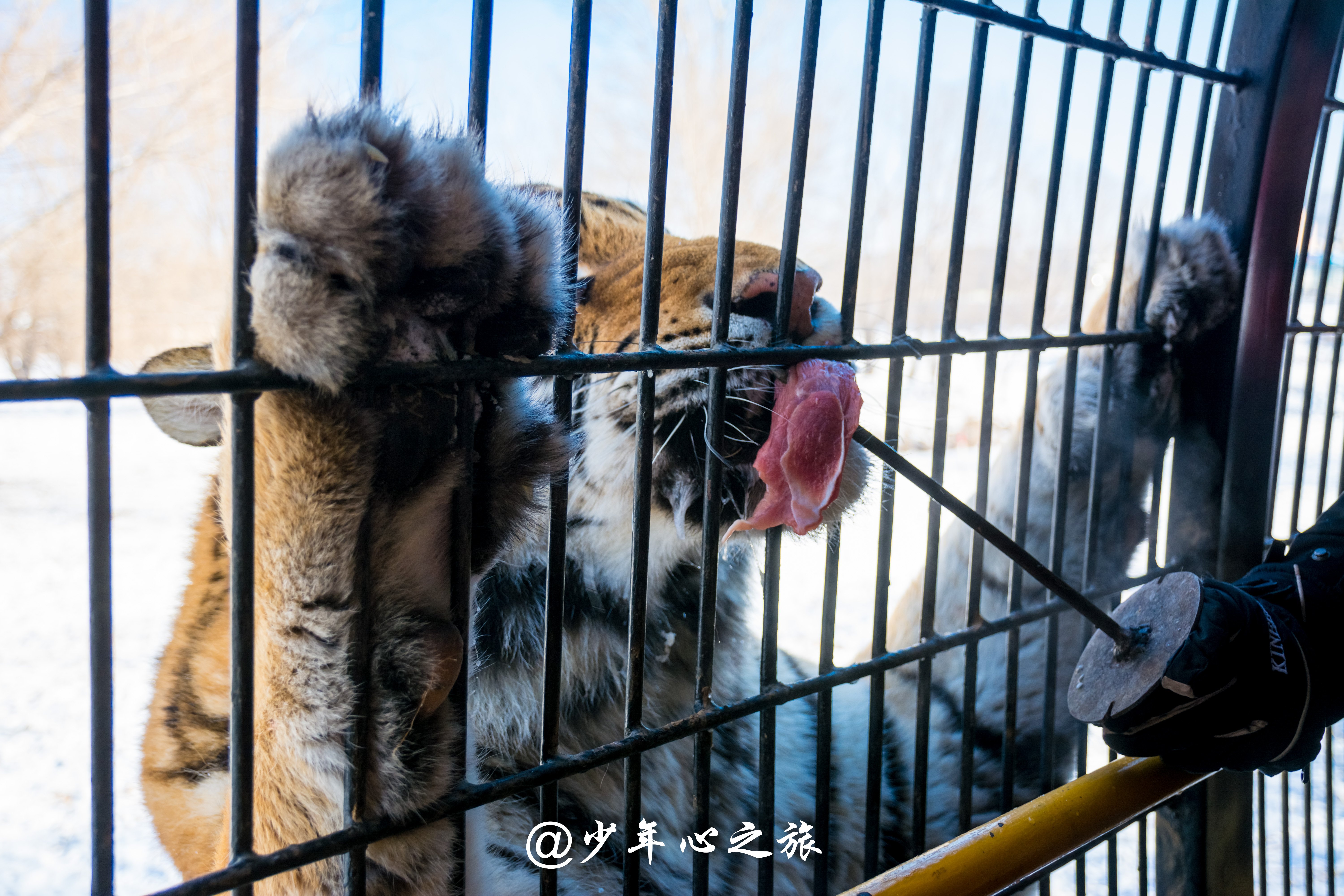 沈阳怪坡风景区门票多少钱,沈阳十大景点怪坡一日游攻略