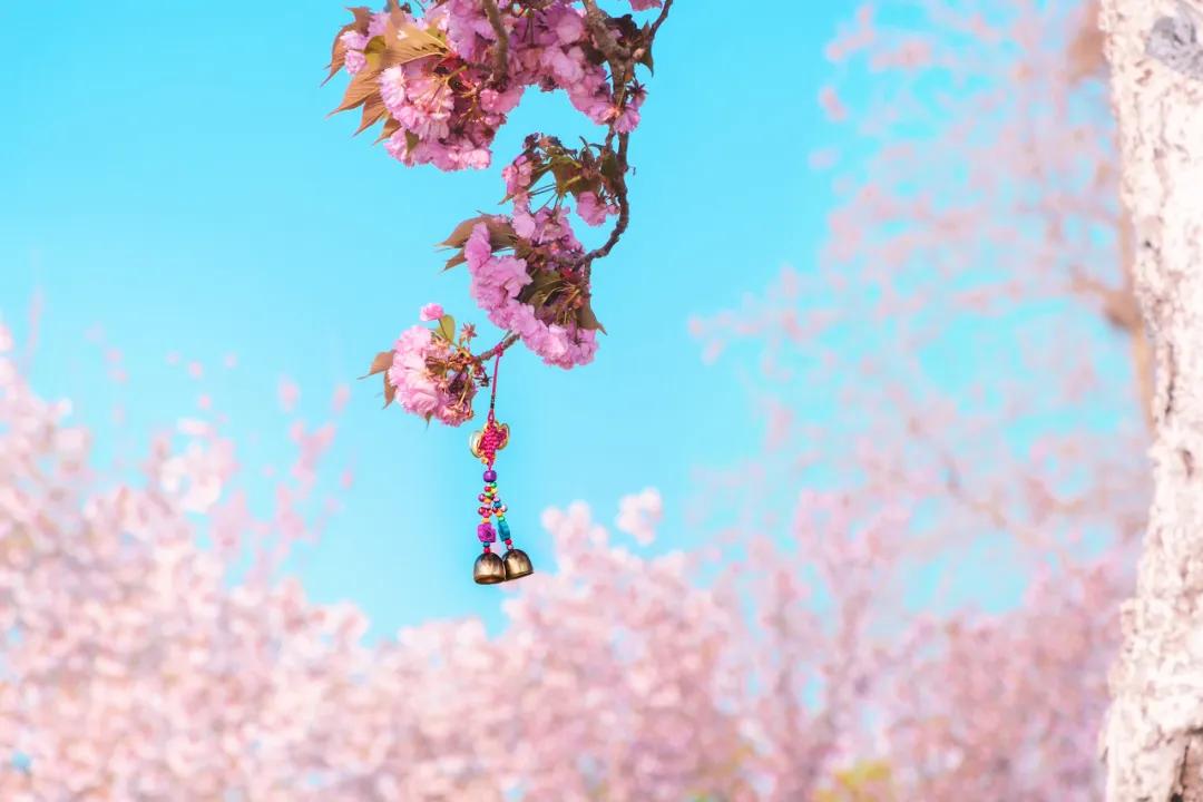 比三亚便宜的海边小城,比三亚便宜的海滨慢城