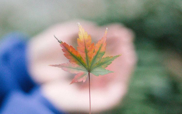 将迎来人生转折的三大星座,注定走向人生巅峰的四大星座