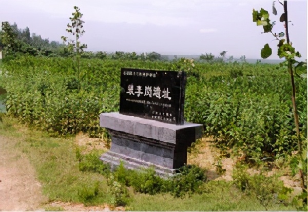 裴李岗文化特点,裴李岗历史文化讲解