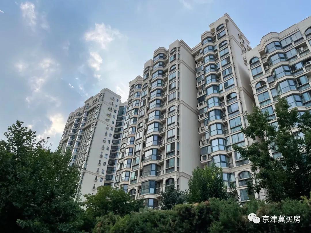 朝青2018年价格,朝青价格走势