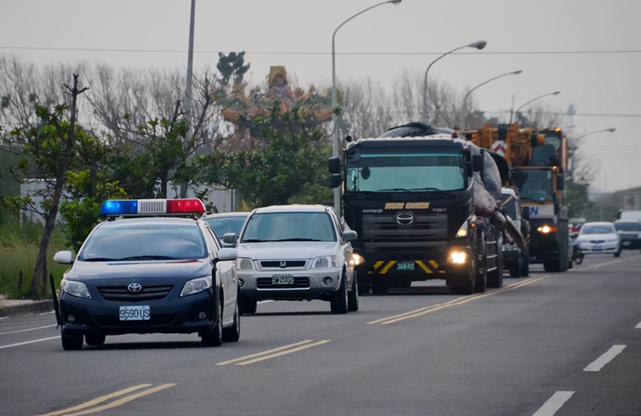 海域发现最大的鲸鱼,现在发现海上最大鲸鱼有多大
