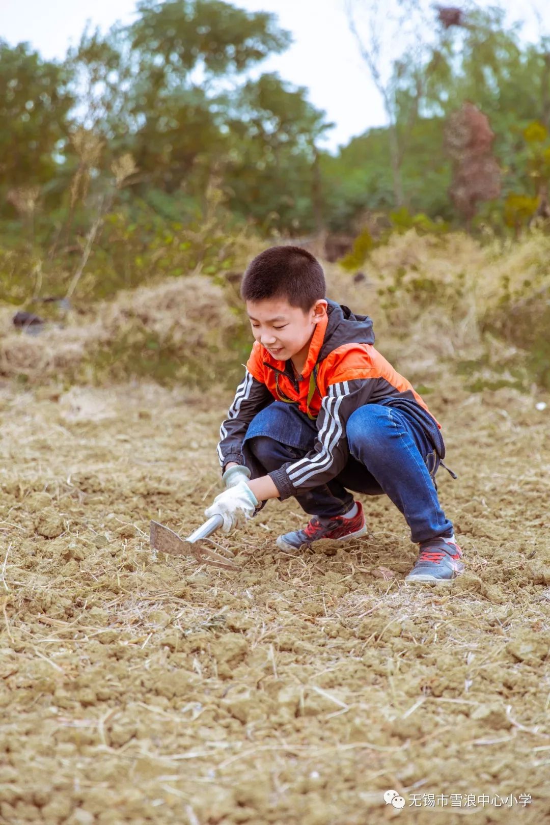 翻地、播种…无锡老小将课堂搬到了田间地头