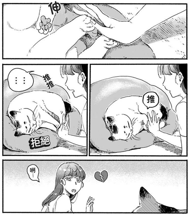 清新治愈！和3只猫一起生活的日子！又要骗我养猫！