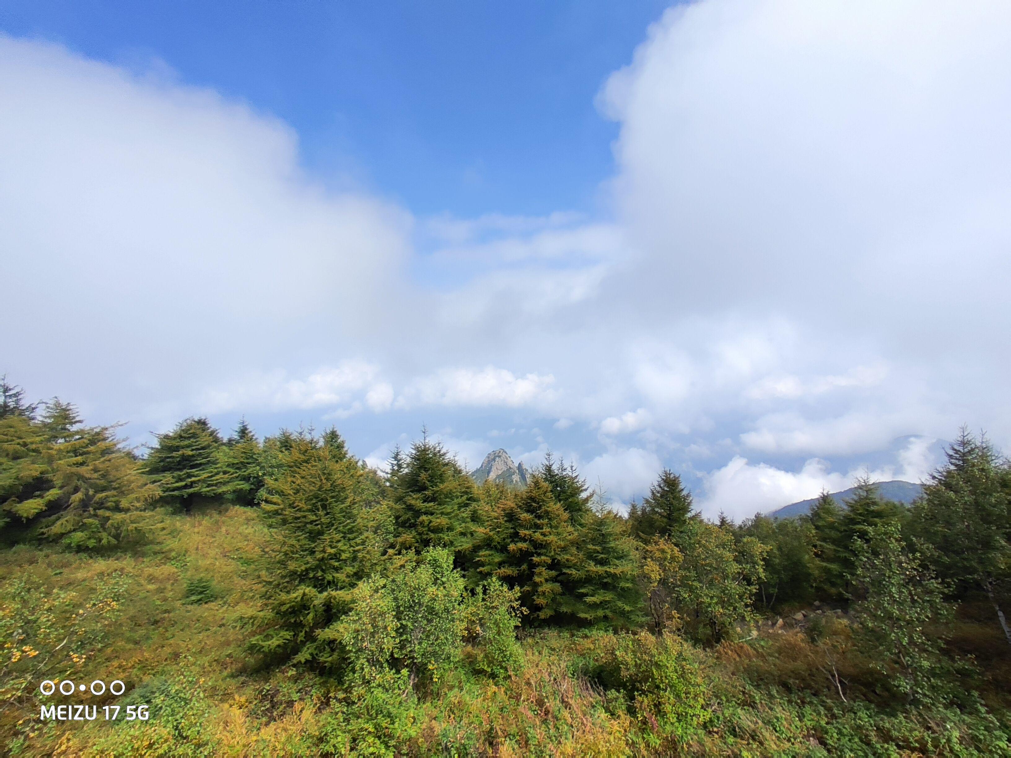 魅族17哪一款最值得入手,魅族17最值得入手的旗舰