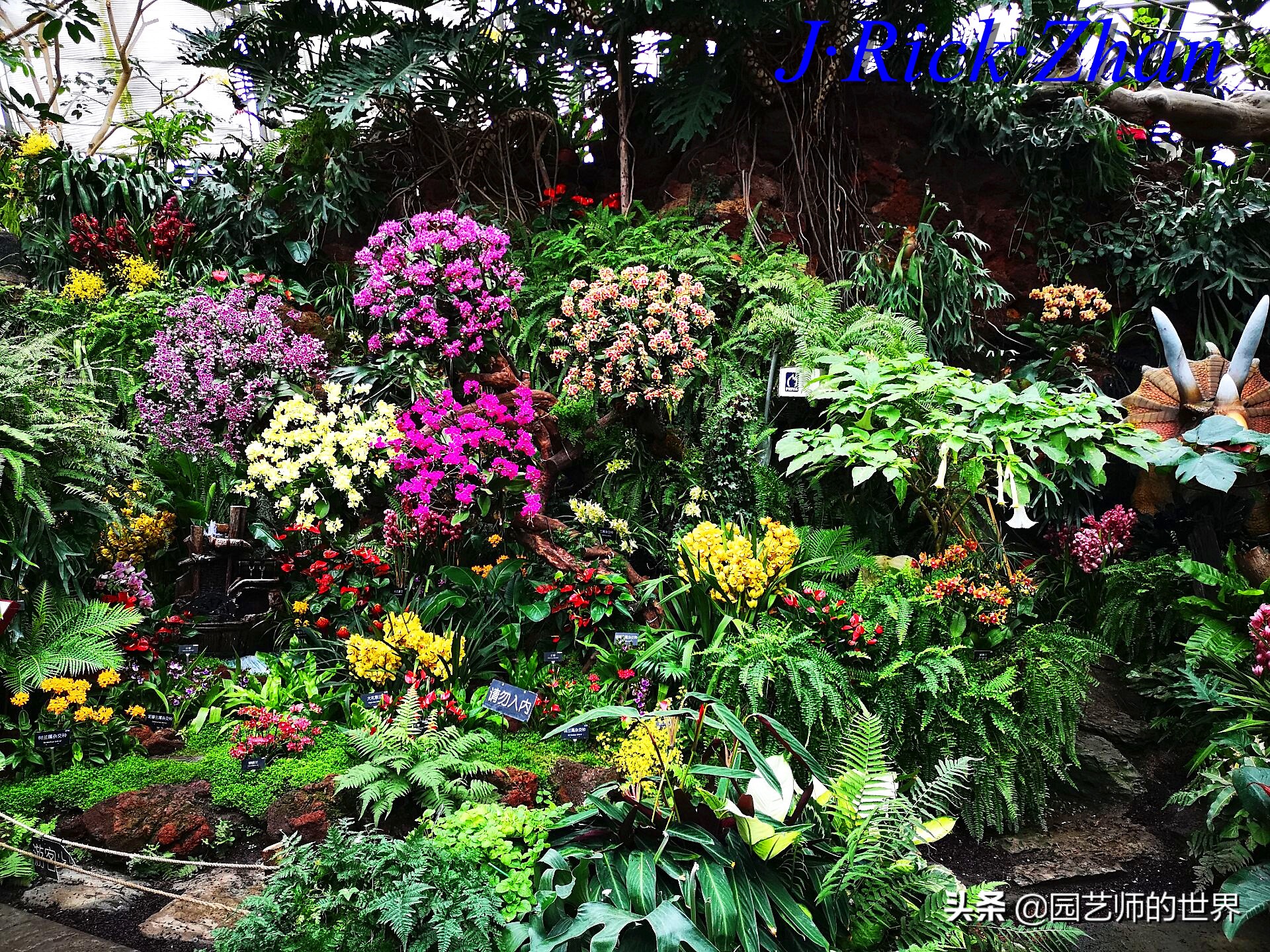 园艺研学报告,园艺园林研学