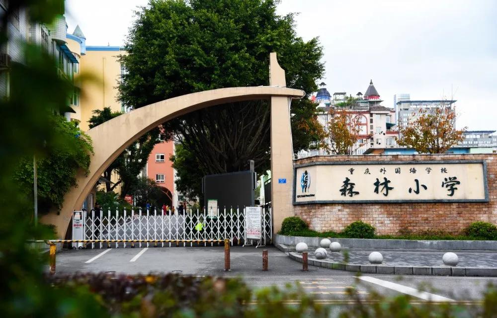 九龙坡重点小学,重庆九龙坡区小学2022年招生