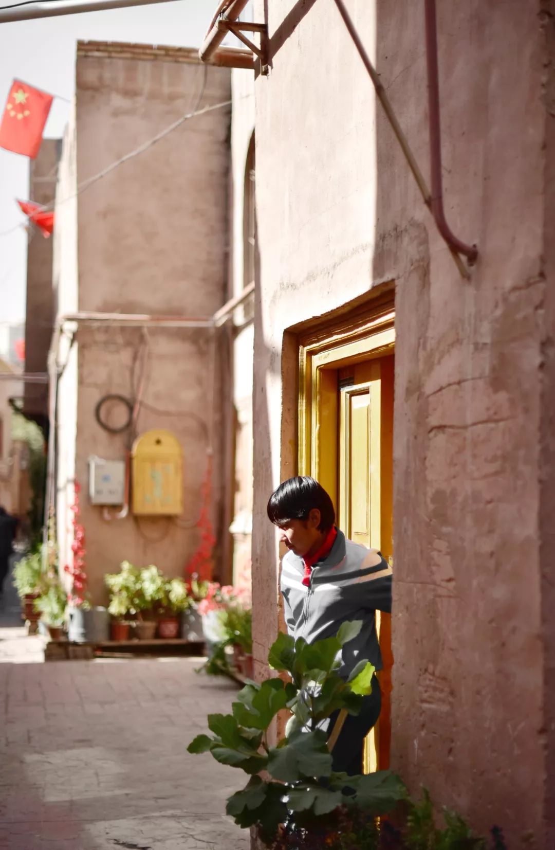 新疆炫富方式是什么,新疆喀什好种的花