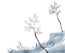 2021金华山之巅100公里越野挑战赛,金华之巅越野44公里挑战赛