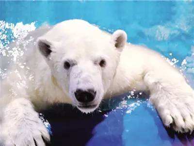 哈尔滨适合老人旅游的景点,哈尔滨十佳景区