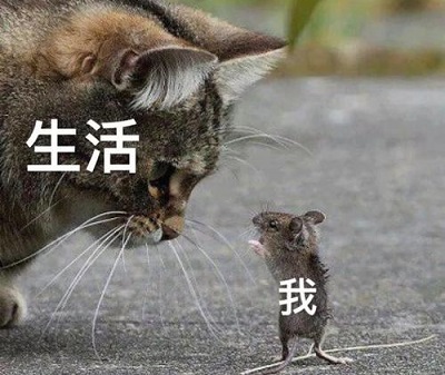 农村大爷开榨油坊,老赵家榨油坊