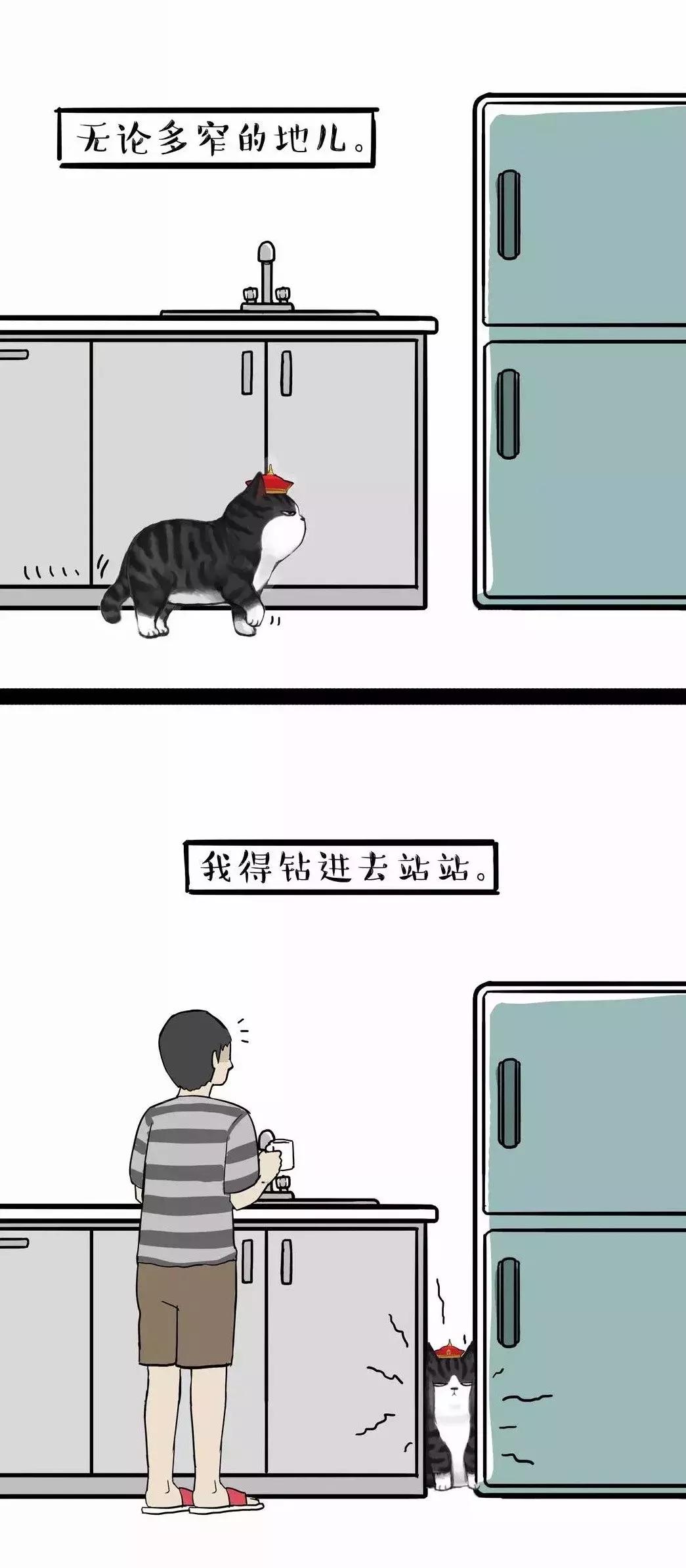 为什么说养猫对孩子有益,为什么有的人养猫养鸟容易养的好