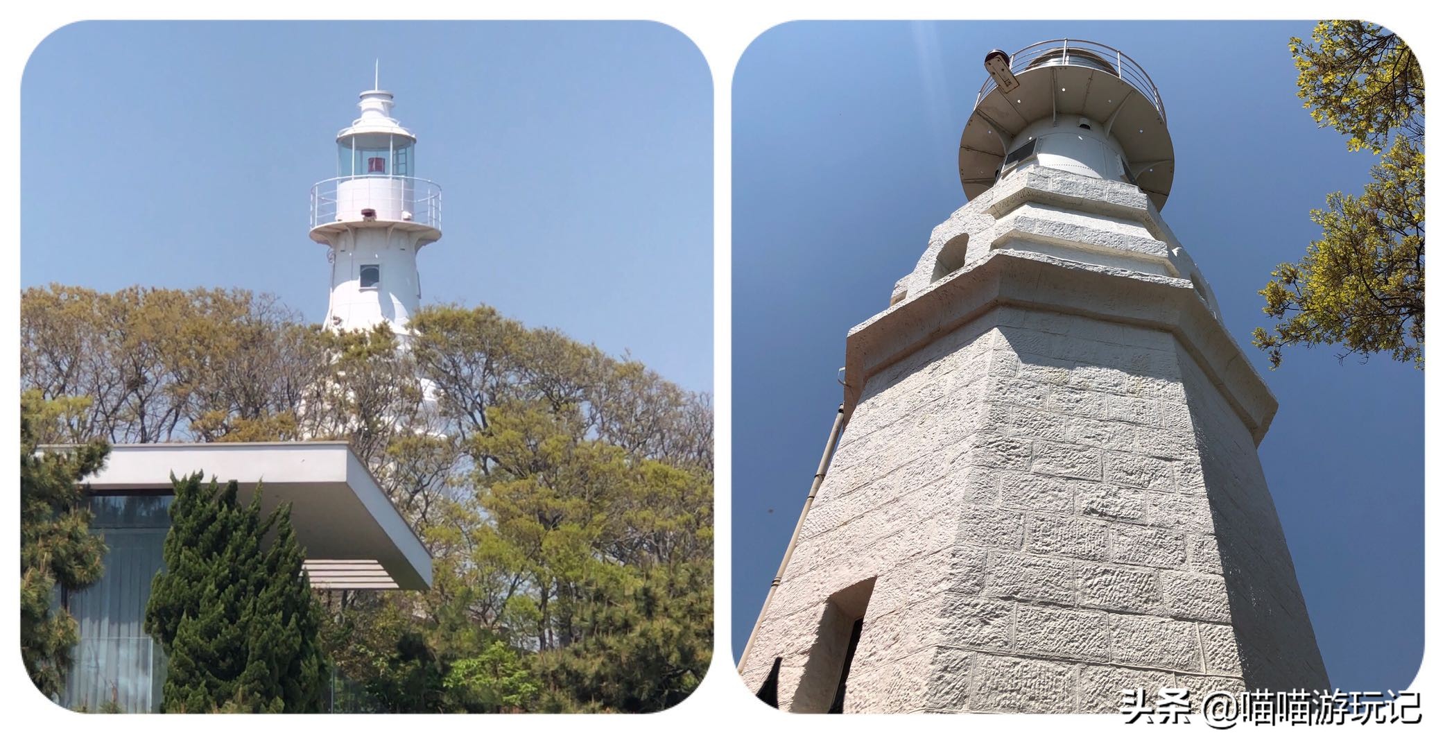 小青岛公园评价,青岛小青岛公园收费