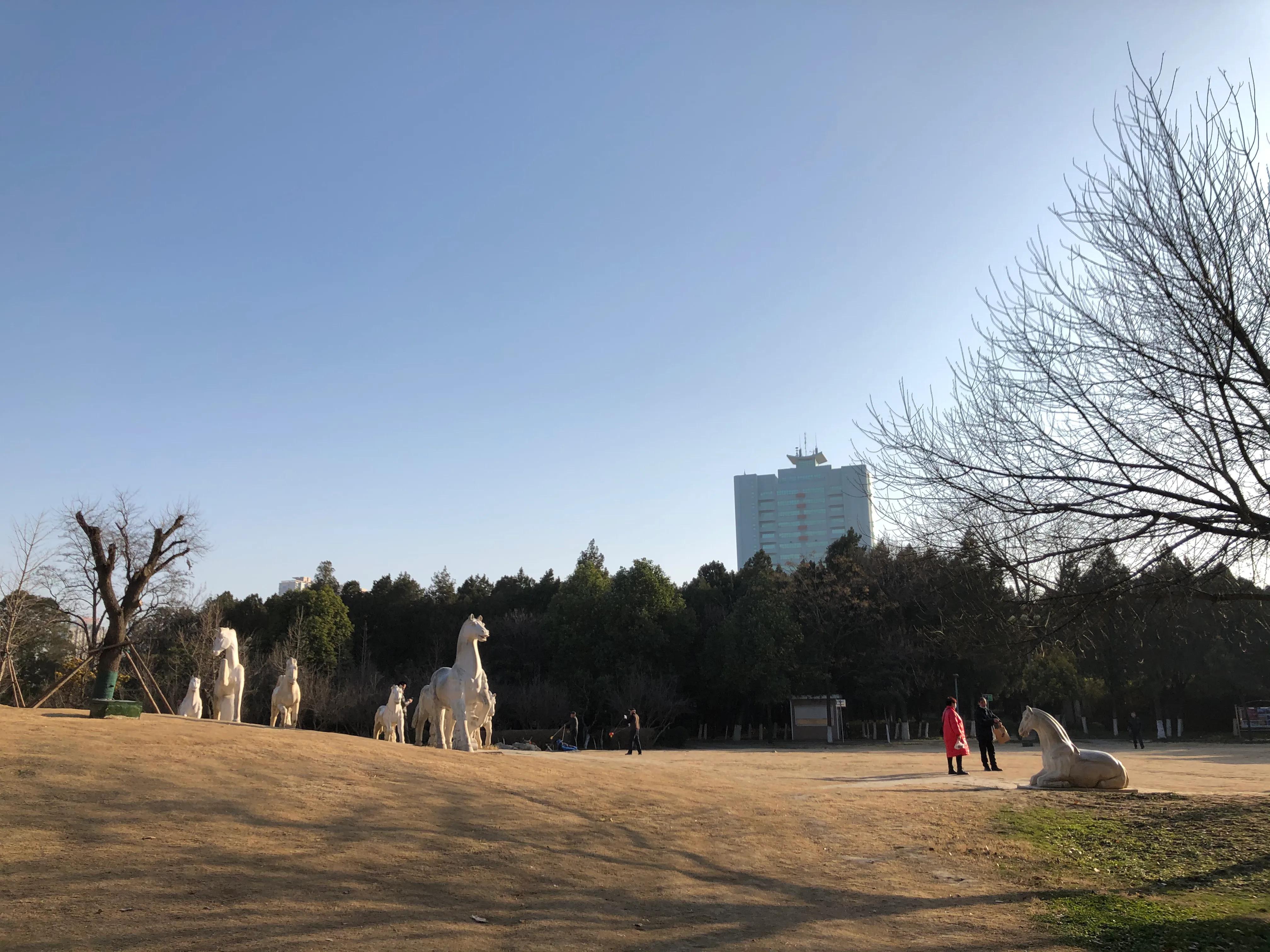 平顶山河滨公园旅游攻略,平顶山森林公园游记