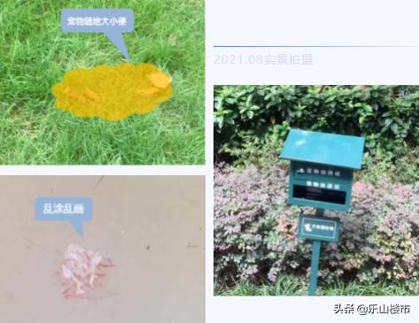 突击：我们暗中实查了时代青江小区的物业工作