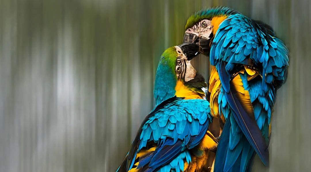 香港第14届全国摄影艺术展,第29届全国摄影艺术展览获奖名单