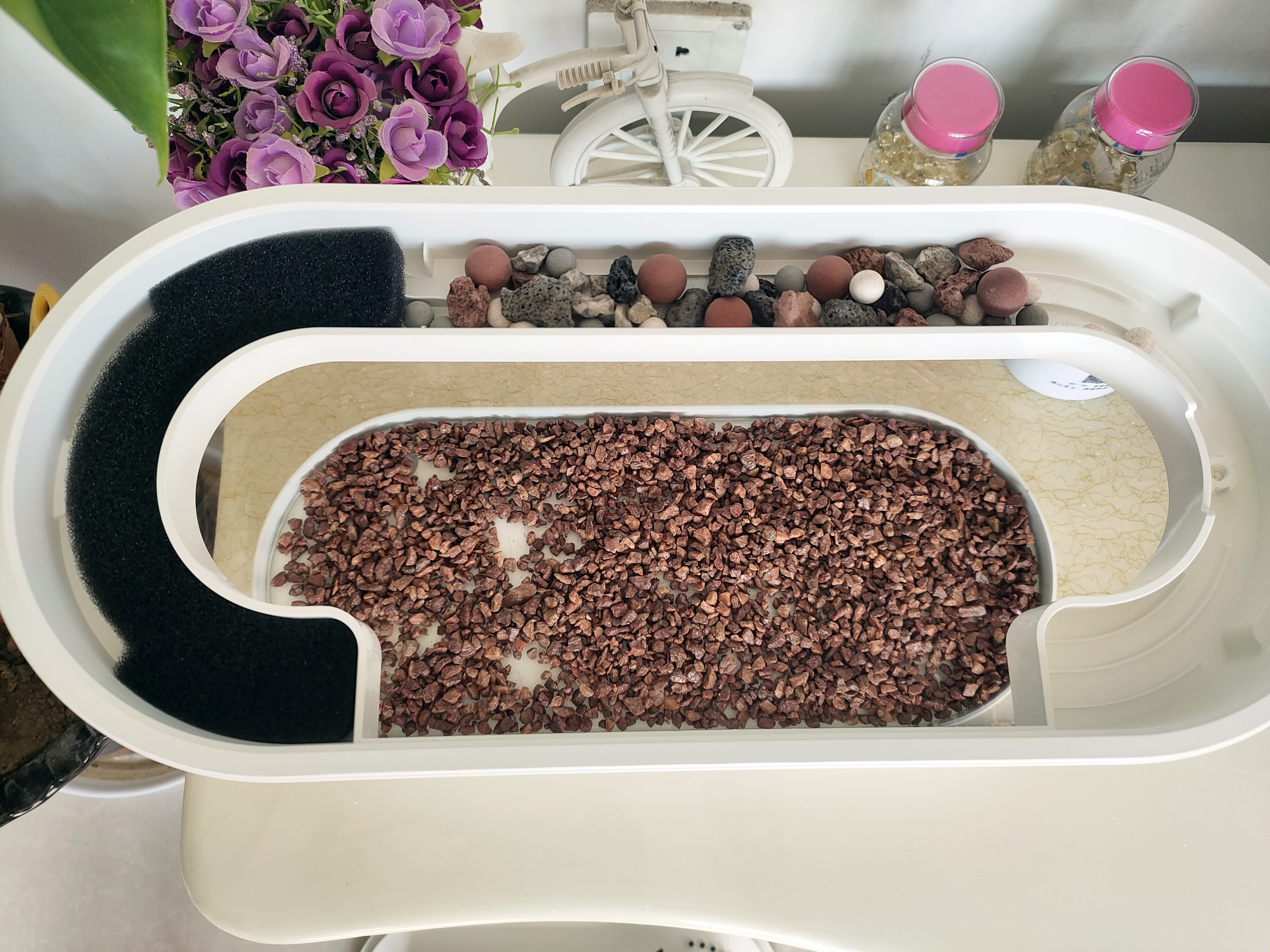 鱼缸养鱼教程图解大全,鱼缸养鱼教程入门图片