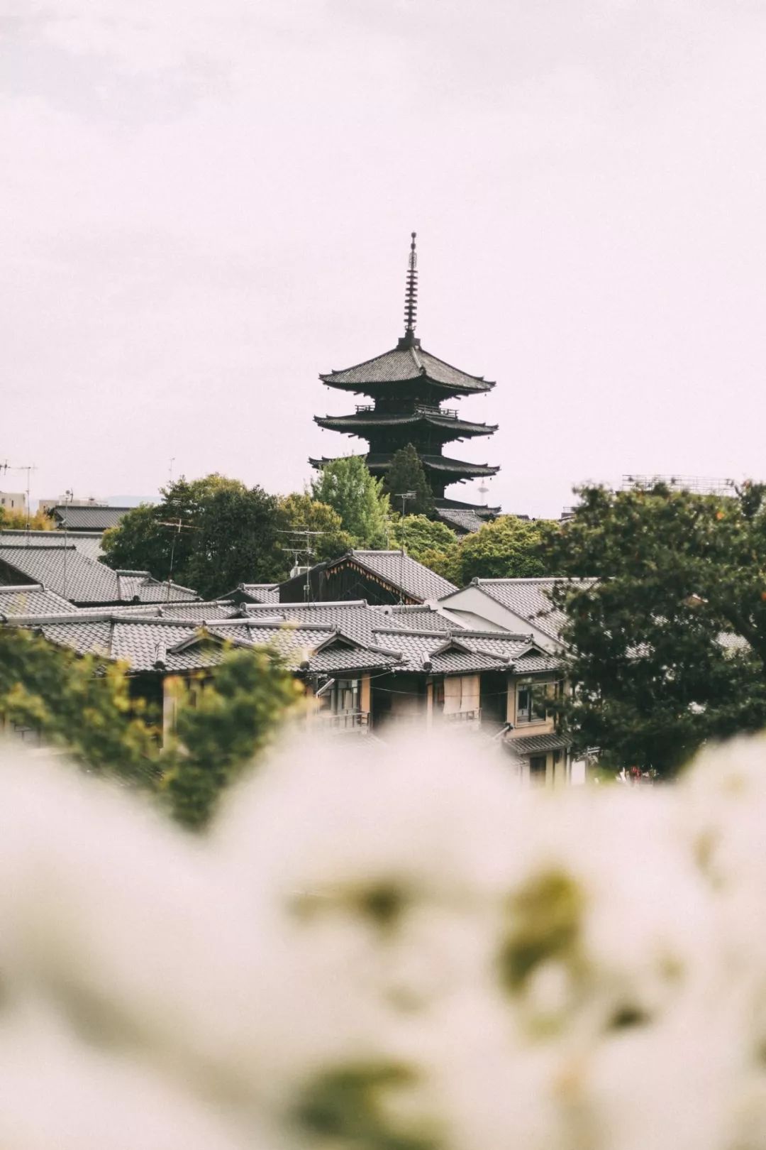 800元双人来回的机票，可以飞去国外哪里？