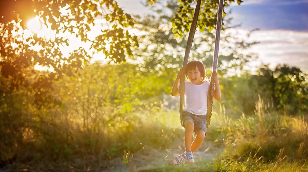 快乐贩卖机,快乐贩卖机阅读