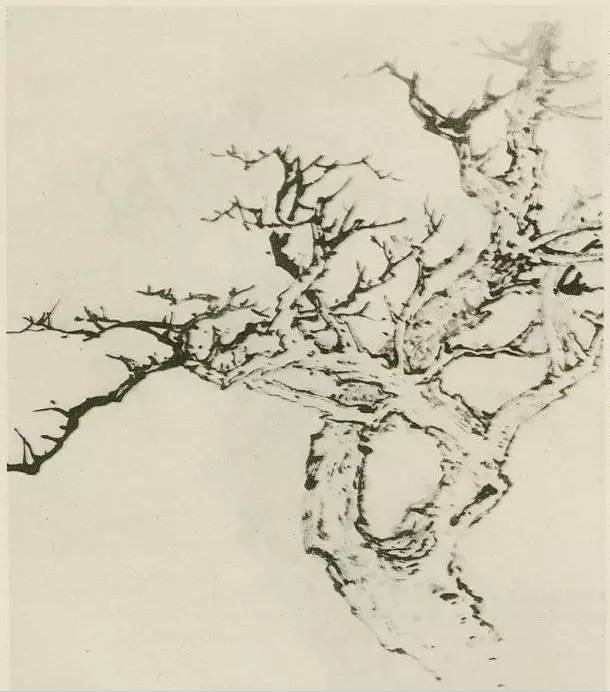 画树教程,怎么画树好看又超级简单