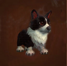 魔兽世界前期带什么宠物,魔兽世界小宠物选什么