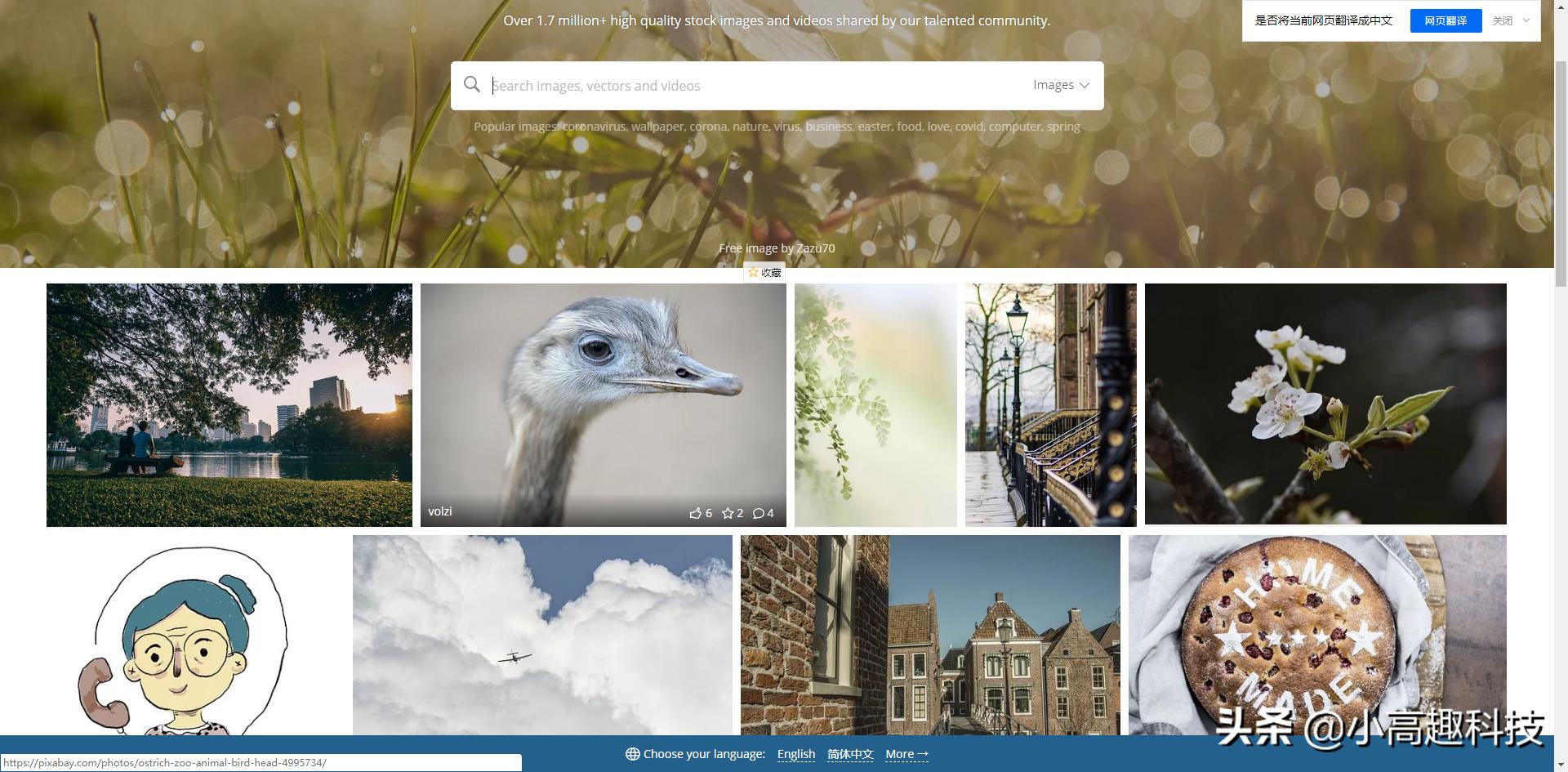 无版权免费视频素材网站手机版,免费好用的无版权图片素材库