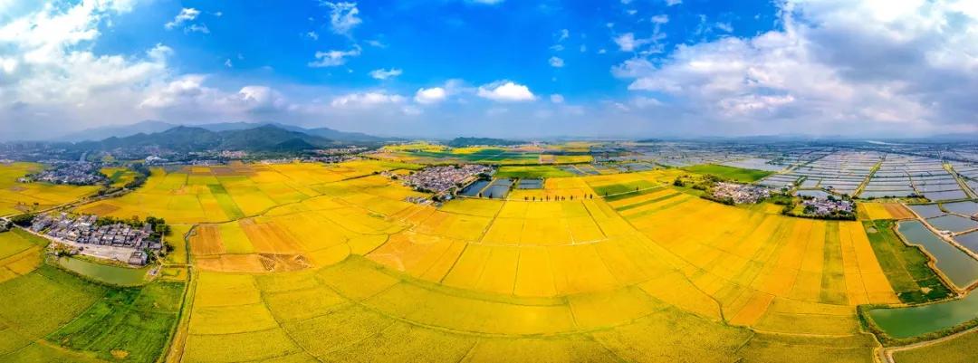 江门10大美景,江门打卡地景点推荐