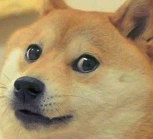 a站b站和d站有什么区别,最近说的a站b站啥意思