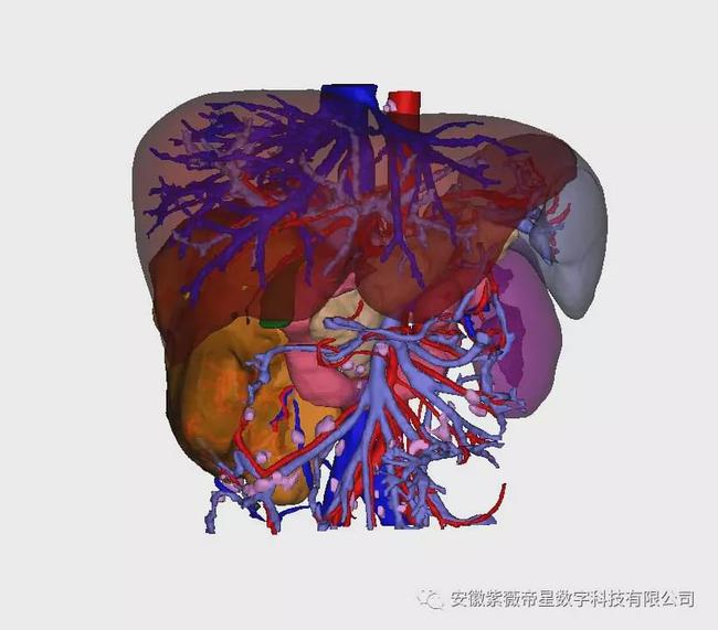 紫薇帝星穴,紫薇帝星医疗科技