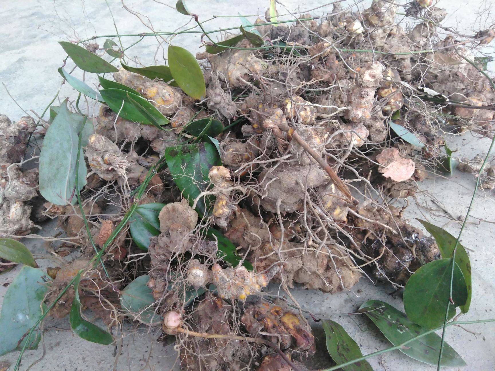 盆腔炎性疾病后遗症的治疗方法,盆腔炎性疾病中医治疗效果