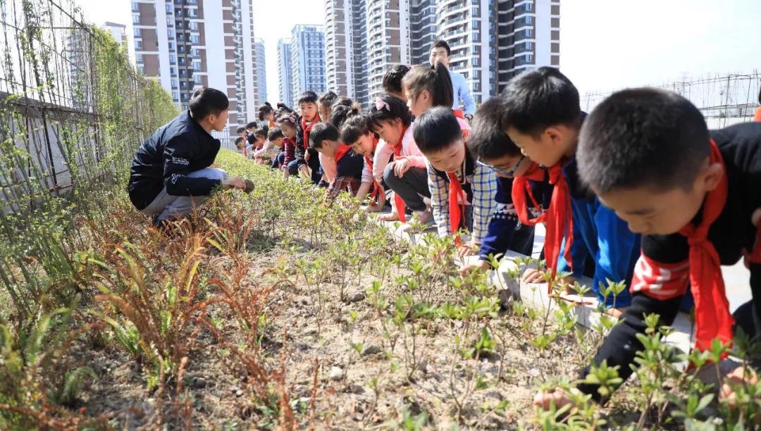 成都有哪些学校不上网课,成都校风差的学校