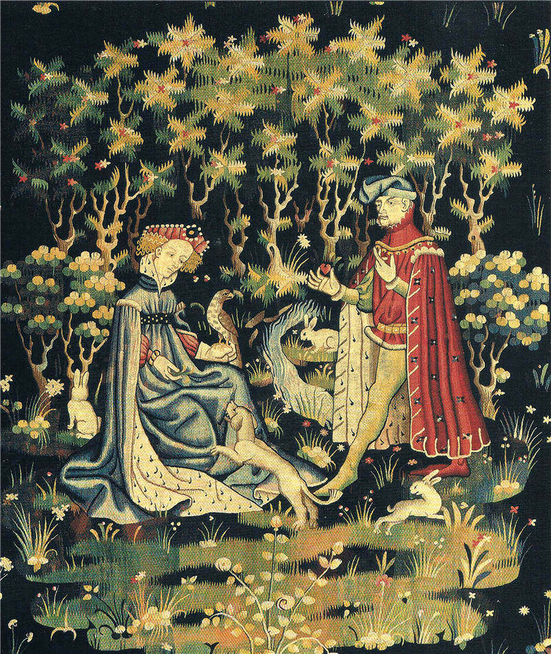 笛卡尔的心形函数图像解析式,笛卡尔心形函数公式图