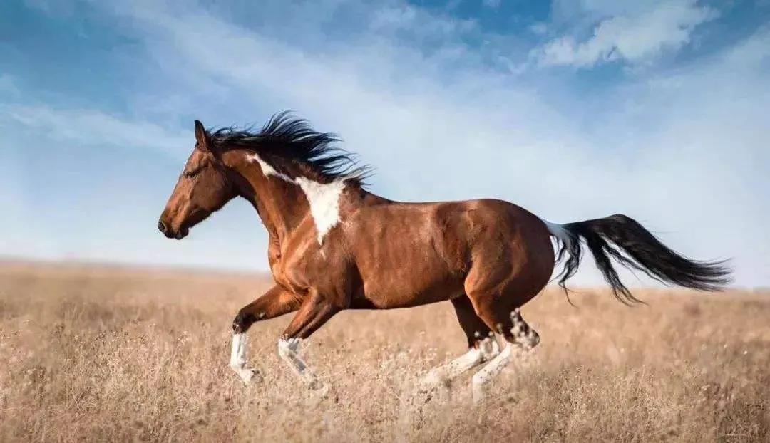 低薪的意义是什么,低薪是什么