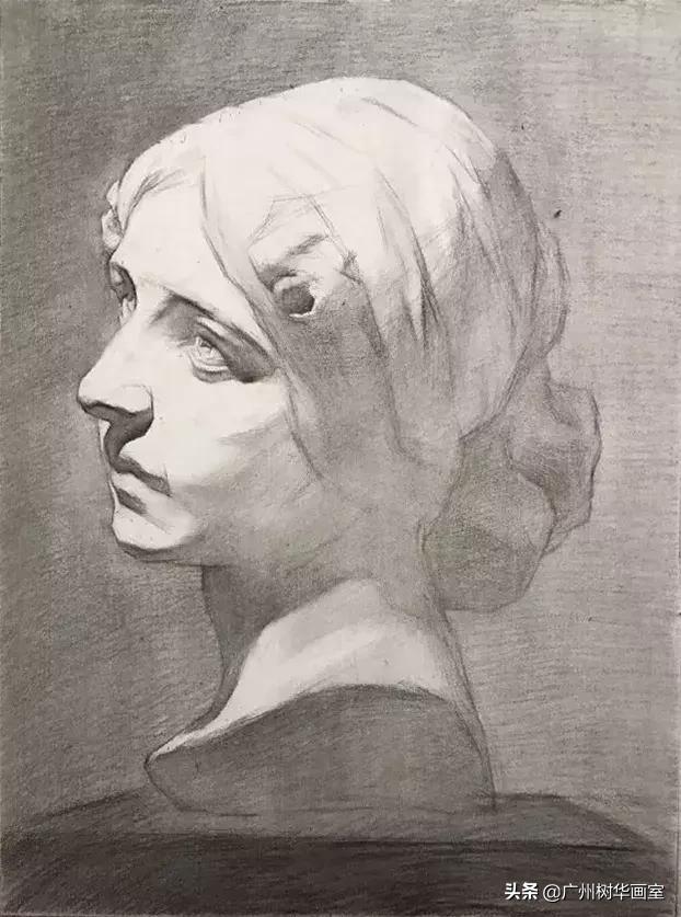 石膏头像大卫素描教程步骤,素描石膏鼻子的步骤入门