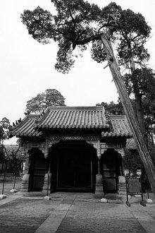 77代孔子后代为什么迁出孔府,孔子74代传人带你走进孔府