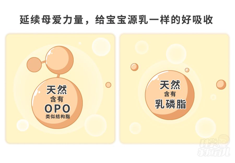 选一款适合宝宝体质的奶粉,如何选择学生奶粉更适合宝宝